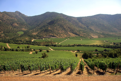 Maule Valley