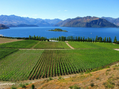 Marlborough