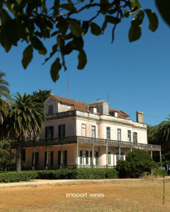 Enoport Wines Portugal