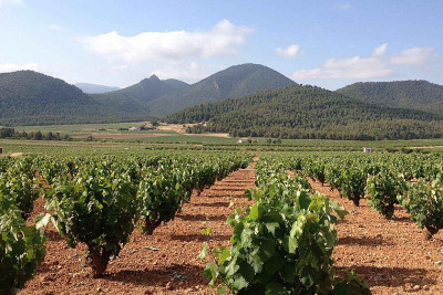Jumilla