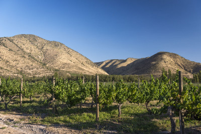Maipo Alto