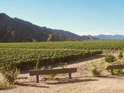 Rioja Argentina