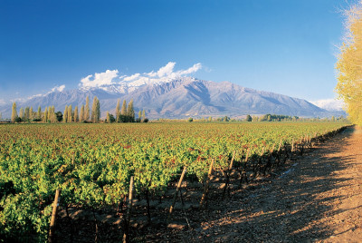 Maipo Valley